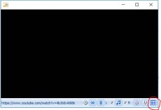 Neuro Data recording and Mangold DataView