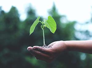 Sustainability