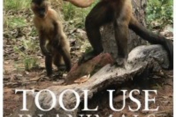 Tool use in animals