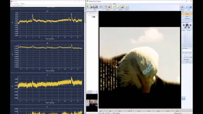Kombination von Eye Tracking und Hirnforschung