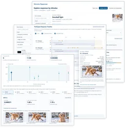 Mangold Observation Studio Multimodal Insights & Comparison Report with stimulus responses