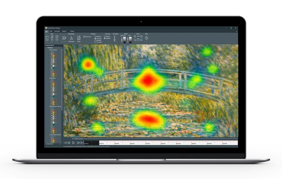 Mangold Vision Eye Tracking Software